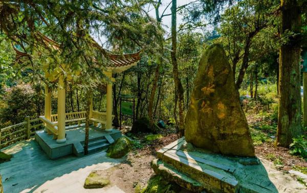 南嶺國家森林公園：廣東天然生態保護屏障，有廣東物種寶庫的美譽