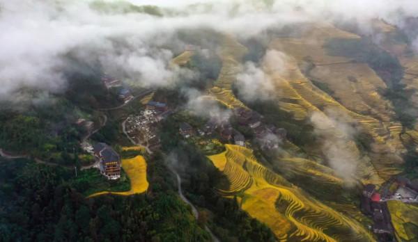廣西龍脊梯田:雨後雲霧如畫 廣西龍脊梯田:雨後雲霧如畫