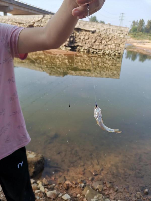 國慶放假了，看看這裡有魚嗎？