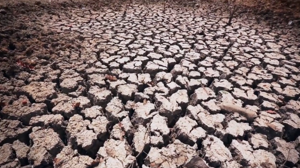 非洲人為何寧願天天喝黃泥水，甚至渴死都不打井？是因為懶嗎？