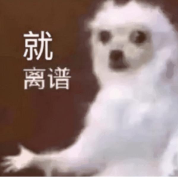 沒錢千萬別把心思花在理財上