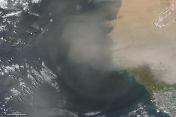 每年1.82億噸沙塵,撒哈拉沙漠滋養亞馬遜雨林,美國人卻痛苦不堪 每年1.82億噸沙塵,撒哈拉沙漠滋養亞馬遜雨林,美國人卻痛苦不堪