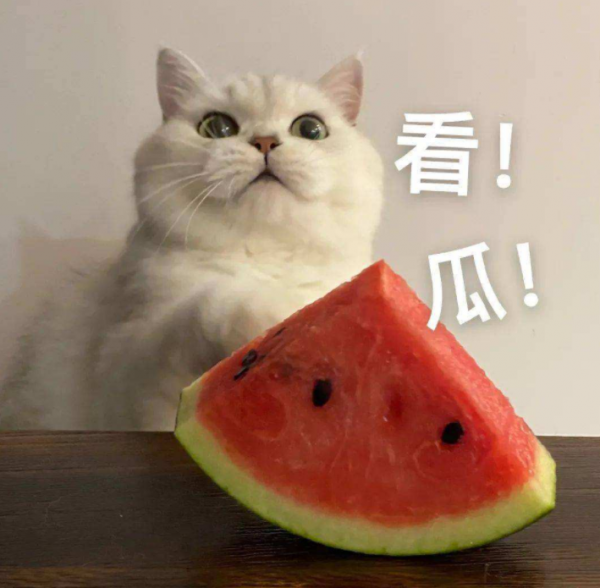 迪拜出逃王妃贏了!酋長離婚賠款46.9億元,離婚女性支稜起來 迪拜出逃王妃贏了!酋長離婚賠款46.9億元,離婚女性支稜起來