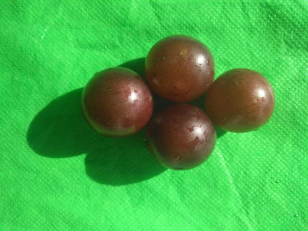 請為你上小學的寶寶保留