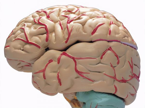 每天堅持走路鍛鍊好嗎？醫生：好處多多，能預防6種常見病