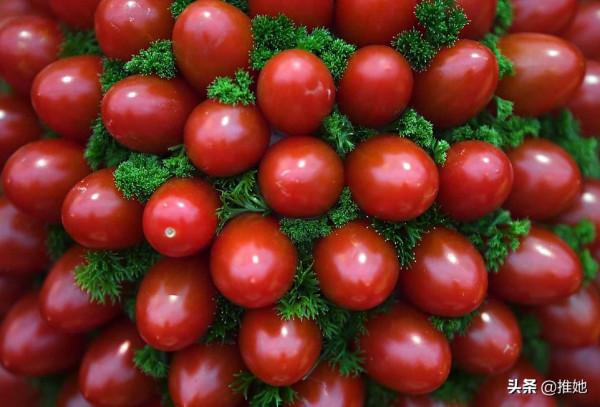 驚豔了109年,伊麗莎白女王的摯愛,又好看又好吃的切爾西花展 驚豔了109年,伊麗莎白女王的摯愛,又好看又好吃的切爾西花展