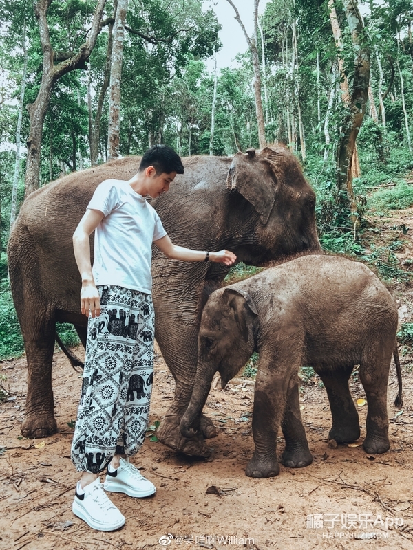 還記得《心動的訊號》裡的威廉嗎？他現在長這樣