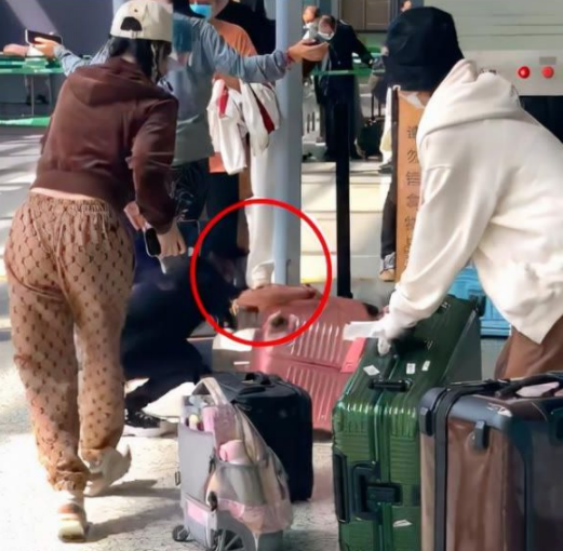 7歲甜馨機場搬行李摔倒！媽媽李小璐卻無理會，帶娃日常惹爭議