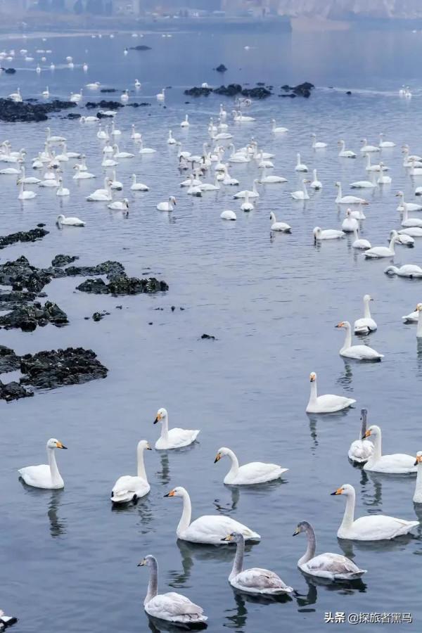 2月國內旅行地推薦，全年最美的時刻來臨，錯過再等一年