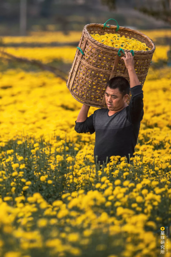 來了！中國賞秋地圖