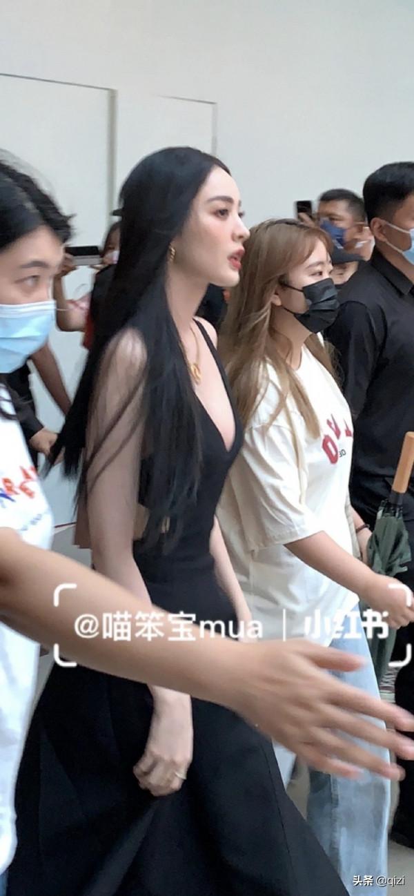 女明星中的女明星 女明星中的女明星