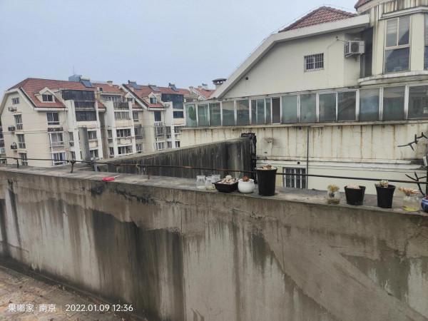 多變的天氣，我們來欣賞下醜肉和凍傷肉