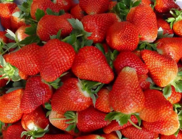 你想要來的新疆2022年是這樣的