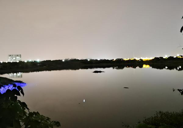 3年前的一次夜釣,至今難忘!從那以後不再獨自夜釣 3年前的一次夜釣,至今難忘!從那以後不再獨自夜釣