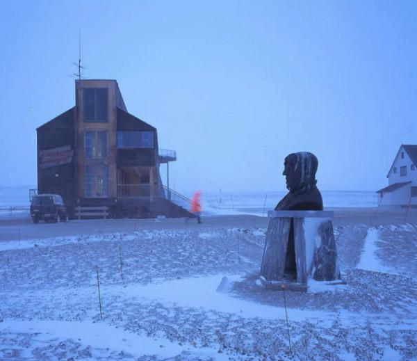 抓住北極熊後該做些什麼？丨奇怪的動物知識