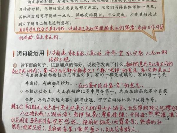 語文就這三大點，從小學到初中紮實去學吧！資深教師：缺一不可