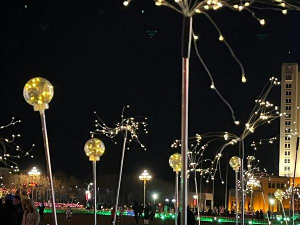 沒有煙花爆竹的大年有驚喜