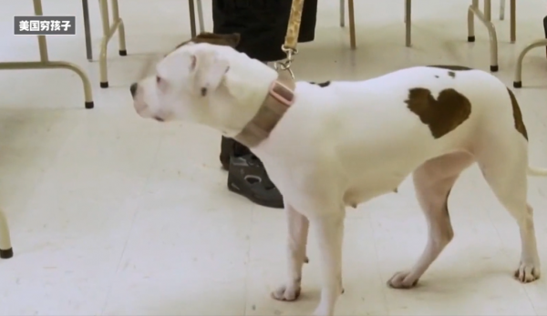 英國拍下美國窮人的真實生活：吃不飽飯，門口就是土地卻不能種