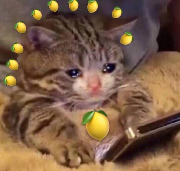 海賊王：炸裂！一位海米獲尾田親筆信、簽名草帽，所有粉絲的夢想