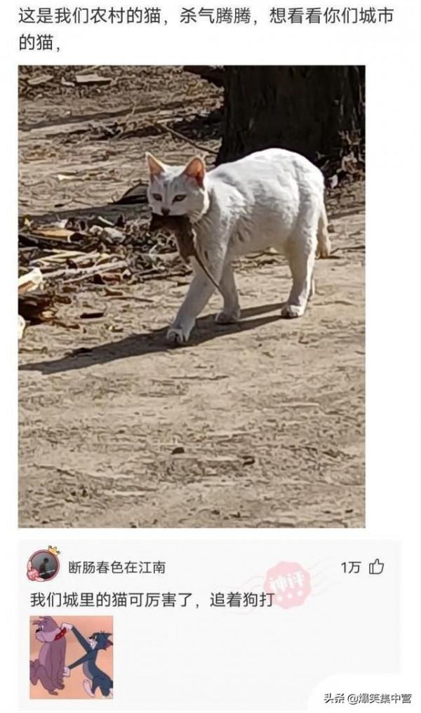 “鄭爽和吳亦凡打架,打一成語?”我快被網友的腦洞笑死了,哈哈 “鄭爽和吳亦凡打架,打一成語?”我快被網友的腦洞笑死了,哈哈