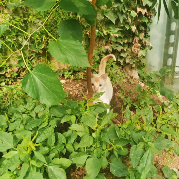 古有“竹林七賢”今有“觀復七閒” 古有“竹林七賢”今有“觀復七閒”