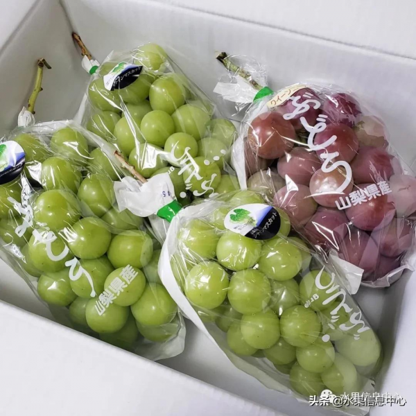 200元1斤,葡萄界中的勞斯萊斯,妮娜皇后究竟如何? 200元1斤,葡萄界中的勞斯萊斯,妮娜皇后究竟如何?