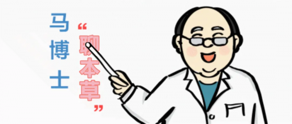 【馬博士聊本草】女科要藥（四）：三七的故事——日常用法舉隅