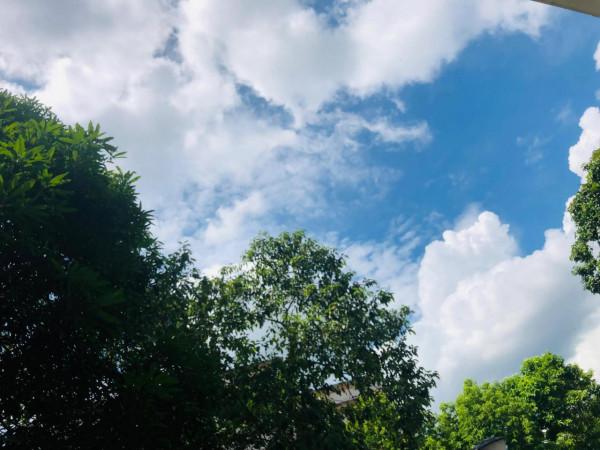 壯鄉好風光，長壽看這裡