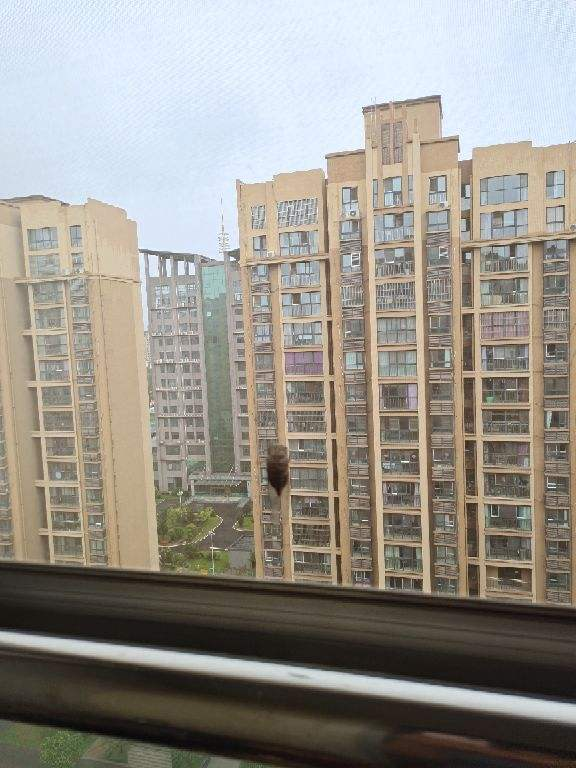 年底在家大掃除,記住5個小妙招,省時省力乾乾淨淨 年底在家大掃除,記住5個小妙招,省時省力乾乾淨淨