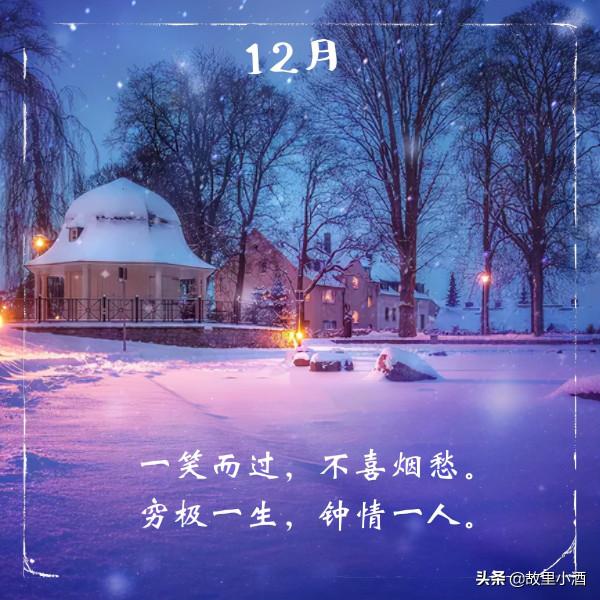 令人愜意的句子：春觀夜櫻，夏望繁星，秋賞滿月，冬會初雪