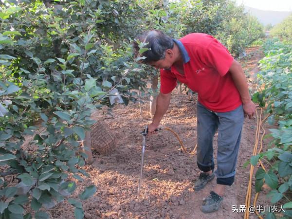 三月果樹促根刻不容緩，分享一個避開誤區，快速醒根的解決方案