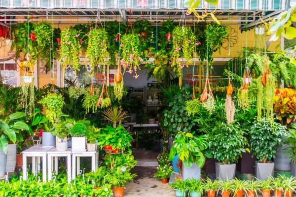 如果你累了,讀這6首詩:解除疲勞,清理過去 如果你累了,讀這6首詩:解除疲勞,清理過去