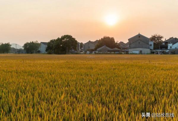霸屏預警！美！滴！很