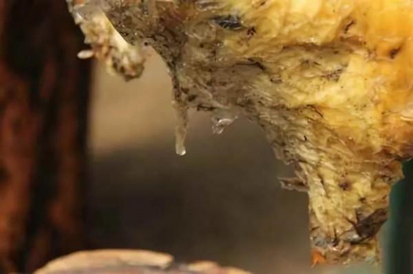 2014年他在遼寧撿到一塊“肥肉”，1年後價格漲到140萬