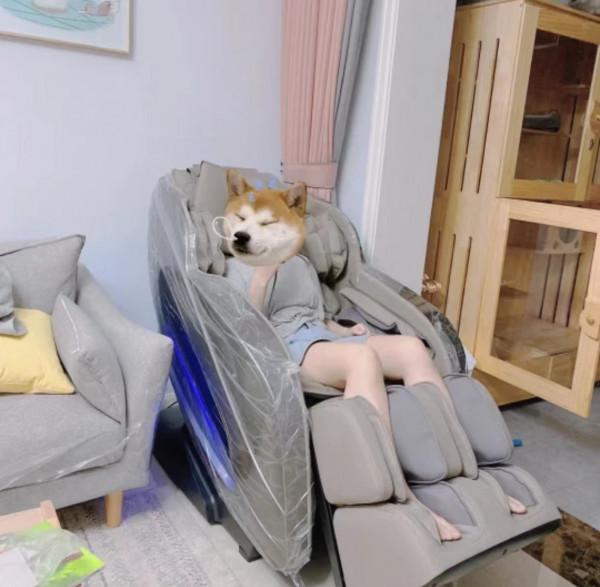 12件家居用品，噱頭大於實用，不要被種草了，別再交智商稅了