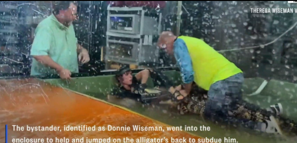 遊客從鱷魚的嘴裡救出了馴獸師