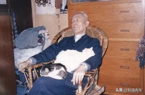 乾隆也太會給貓起名了！現代人只會：咪咪