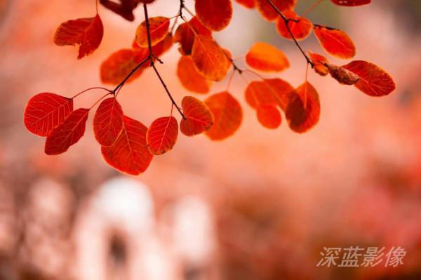 石門坊最美紅葉 石門坊最美紅葉