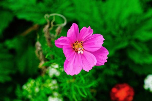 1.10-16十二星座事業運勢，制定長遠的計劃，才會有更大的飛躍