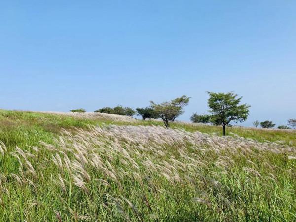 打卡河南最美的4個草原,帶你看不一樣的河南,三個都不收門票 打卡河南最美的4個草原,帶你看不一樣的河南,三個都不收門票