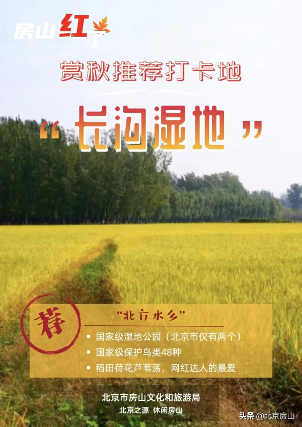 秋意濃,房山紅 !千年遺蹟、稻田荷花…第4波秋景等你去賞閱! 秋意濃,房山紅 !千年遺蹟、稻田荷花…第4波秋景等你去賞閱!