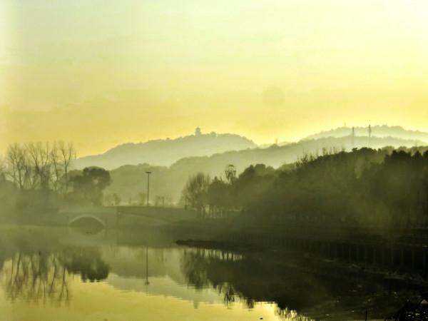 喻家湖的水鳥消失了？