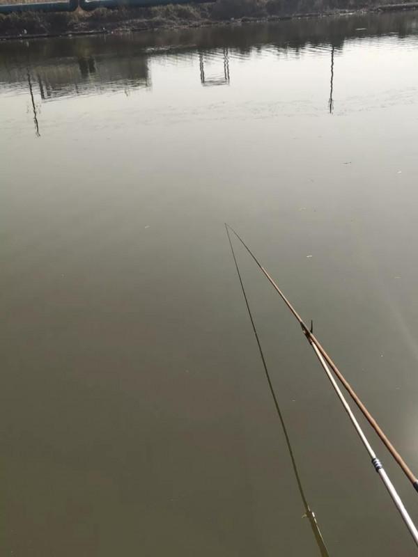 “含氧量”釣魚人必須瞭解的釣魚常識，魚釣多釣少它是個關鍵