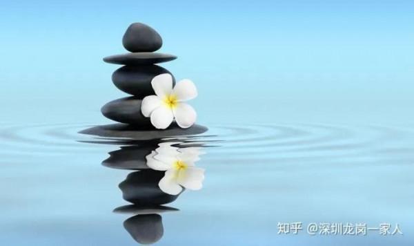 人活著不能太精明