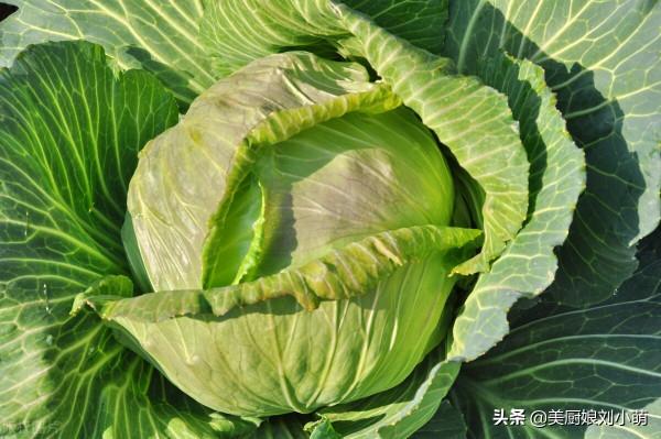 去飯店吃飯最好不要點這9種蔬菜，很多飯店不洗就直接炒