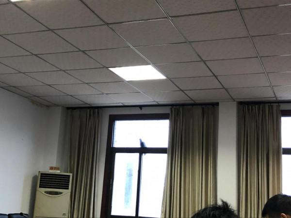 一隻愛學習的鳥