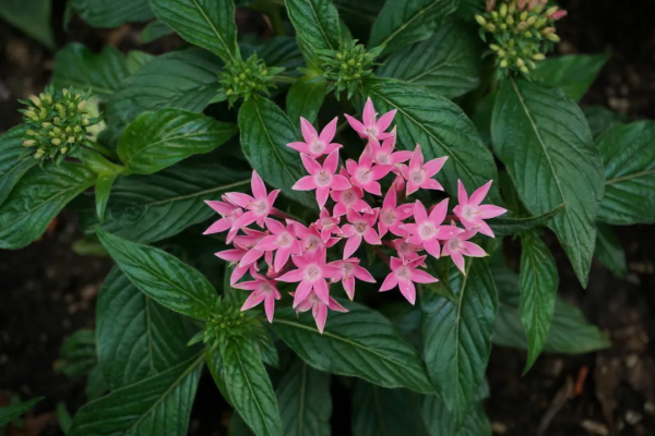 京城這個爆火的4A級景區，你打卡了嗎？快收下這份經典路線攻略，跟著走就行！