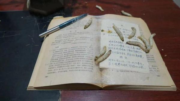 一週觀展指南|“藝術上海”即將開啟,唐碑善本明起呈現 一週觀展指南|“藝術上海”即將開啟,唐碑善本明起呈現