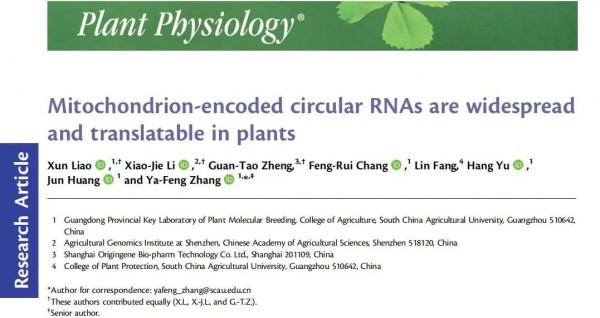 華南農業開發了一款適合植物線粒體基因組編碼mcircRNA的識別演算法
