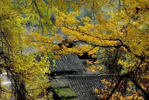 12月旅行推薦：10個人少景美的地方，用旅行給2021畫上句號吧